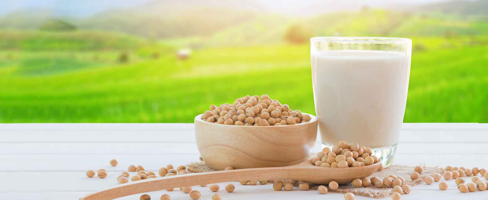 Tính bền vững của sữa bột đậu nành